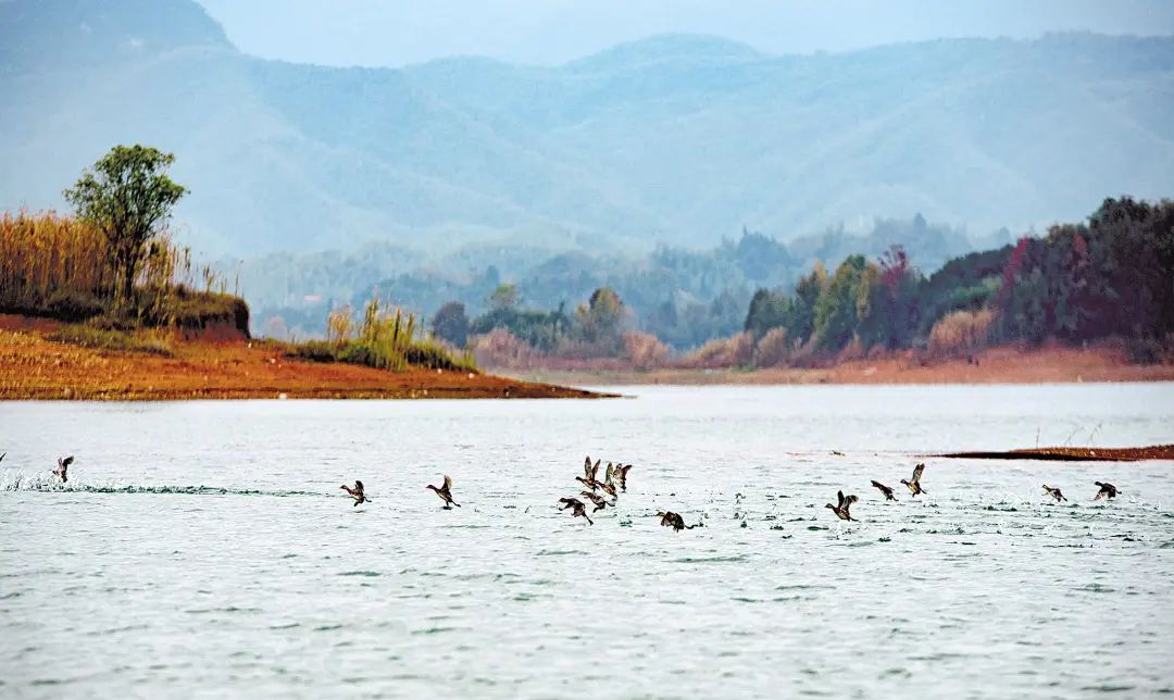 這個(gè)事情不做，砂石礦山企業(yè)不再批新證！